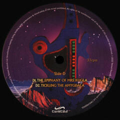 Vinyl Record Shpongle - Museum Of Consciousness (2 LP) - 5