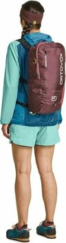 Outdoor Backpack Ortovox Traverse Light 20 Winetasting Outdoor Backpack - 3