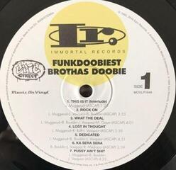 LP ploča Funkdoobiest - Brothas Doobie (Reissue) (LP) - 2