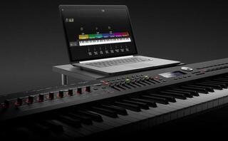 Digitaal stagepiano Roland RD-2000 Digitaal stagepiano Black - 3