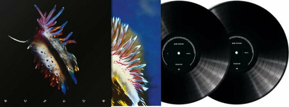 Vinyl Record Sub Focus - Evolve (2 LP) - 2