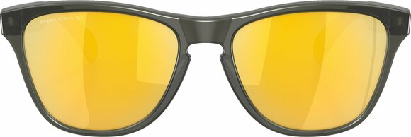 Γυαλιά Ηλίου Lifestyle Oakley Frogskins XS 90063753 Matte Grey Smoke/Prizm 24K Polar XS Γυαλιά Ηλίου Lifestyle - 3