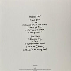 Disc de vinil U2 - Songs Of Surrender (Super Deluxe Collectors Boxset) (4 LP) - 2