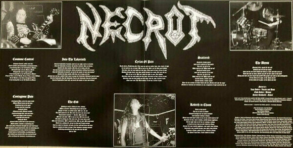 Vinyl Record Necrot - The Labyrinth (LP) - 2