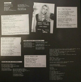 Disque vinyle Santa Cruz - Bad Blood Rising (LP) - 3