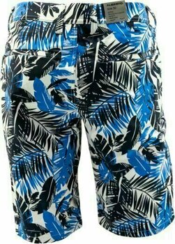 Waterproof Trousers Alberto Earnie Revolutional Jungle Waterrepellent Mens Trousers Blue 44 - 6