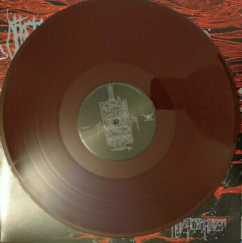Δίσκος LP Obliteration - Black Death Horizon (Brown Coloured) (LP) - 4