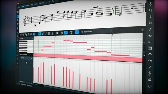 Software de notación musical Steinberg Dorico Elements 5 EDU Software de notación musical - 2