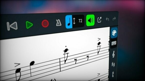 Software de notación musical Steinberg Dorico Elements 5 EDU Software de notación musical - 6