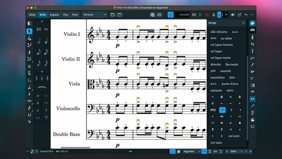 Software de notación musical Steinberg Dorico Elements 5 EDU Software de notación musical - 5