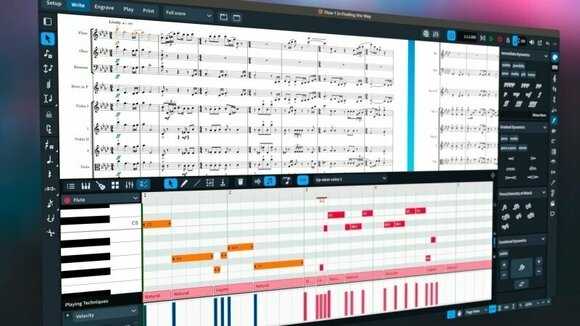 Software de notación musical Steinberg Dorico Elements 5 EDU Software de notación musical - 3