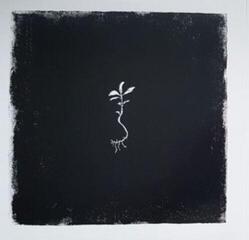 Hanglemez Wardruna - Runaljod - Gap Var Ginnunga (2 LP) - 2