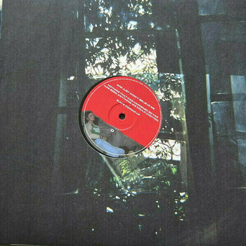LP plošča Tame Impala - Lonerism (10th Anniversary Edition) (Super Deluxe Edition) (3 LP) - 6