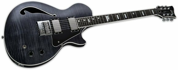 Guitares signature ESP LTD BW-1 Evertune See Thru Black - 2