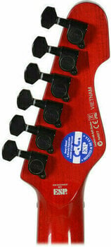 Guitare électrique ESP LTD TE-200 SeeThru Black Cherry - 5
