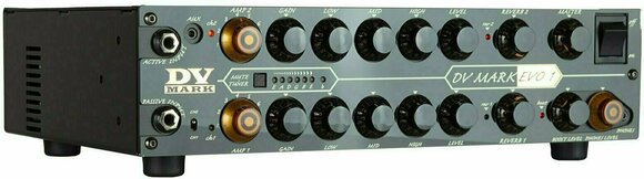 Modeling Guitar Amplifier DV Mark DV EVO 1 - 5