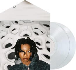 Płyta winylowa Little Simz - No, Thank You (2 LP) - 1