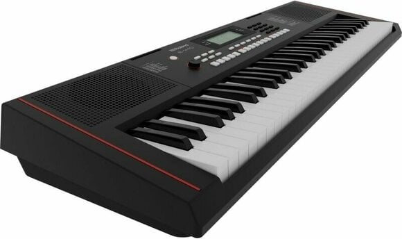 Keyboard with Touch Response Roland E-X10 - 8