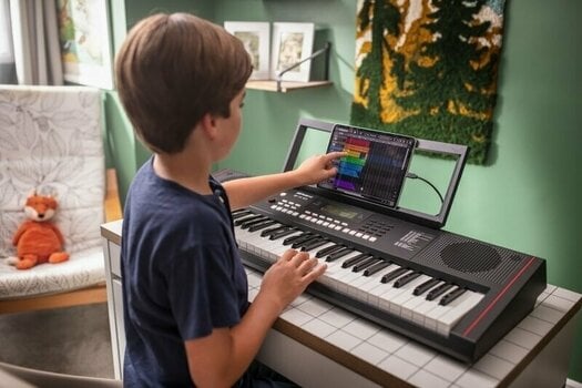 Keyboard mit Touch Response Roland E-X10 - 14