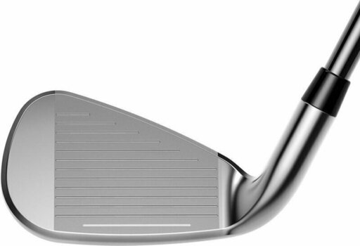 Golfschläger - Eisen Cobra Golf F-Max Irons 5PWSW Left Hand Graphite Ladies - 2