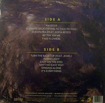 Vinyl Record Train - Am Gold (Gold Nugget Vinyl) (LP) - 5