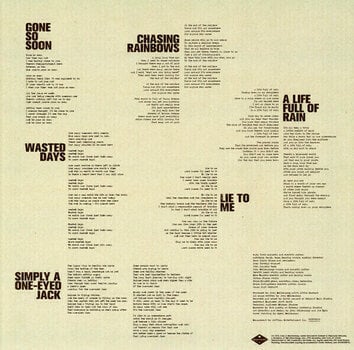 Vinyl Record John Mellencamp - Strictly A One-Eyed Jack (LP) - 5