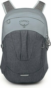 Lifestyle Backpack / Bag Osprey Comet Silver Lining/Tunnel Vision 30 L Backpack - 3