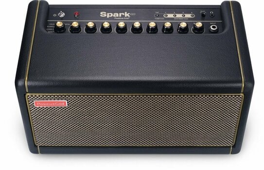 Modelling gitaarcombo Positive Grid Spark - 10