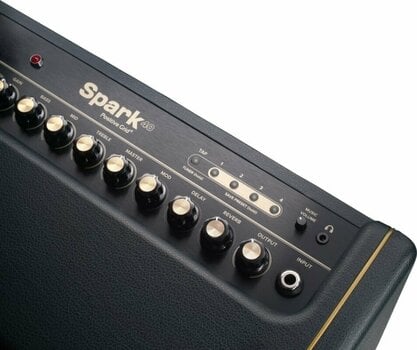Modelling gitaarcombo Positive Grid Spark - 12
