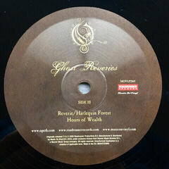LP platňa Opeth - Ghost Reveries (Black) (2 LP) - 4