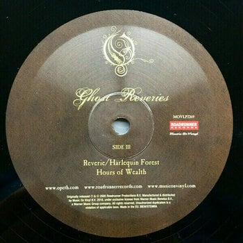 Vinyl Record Opeth - Ghost Reveries (Black) (2 LP) - 5