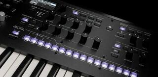 Synthesizer Korg Wavestate SE Synthesizer Black - 5