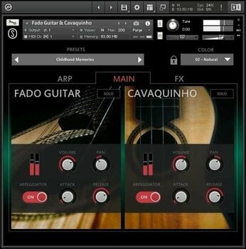 Sample and Sound Library BOOM Library Sonuscore Origins Vol.8: Fado Guitar & Cavaquinho (Digital product) - 3