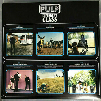 Vinyl Record Pulp - Different Class (LP) - 4