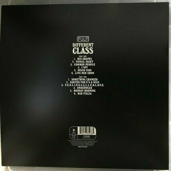 Vinyl Record Pulp - Different Class (LP) - 6