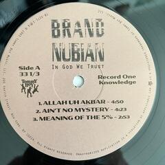 Disque vinyle Brand Nubian - In God We Trust (Anniversary Edition) (2 LP + 7" Vinyl) - 1