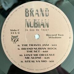 Disque vinyle Brand Nubian - In God We Trust (Anniversary Edition) (2 LP + 7" Vinyl) - 3
