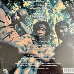 Disque vinyle Brand Nubian - In God We Trust (Anniversary Edition) (2 LP + 7" Vinyl) - 5
