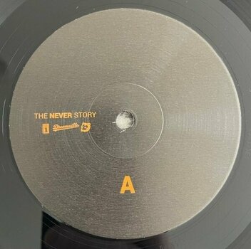 Vinyl Record J.I.D - Never Story (LP) - 2