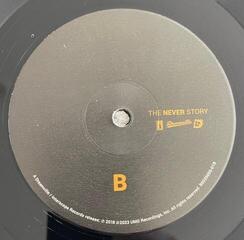 Disco de vinil J.I.D - Never Story (LP) - 2