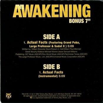 LP deska Lord Finesse - Awakening (25th Anniversary) (Coloured) (2 LP + 7" Vinyl) - 9
