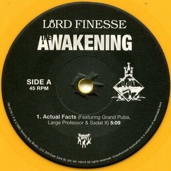 Disque vinyle Lord Finesse - Awakening (25th Anniversary) (Coloured) (2 LP + 7" Vinyl) - 10
