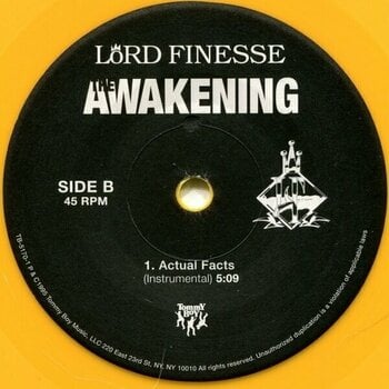 LP deska Lord Finesse - Awakening (25th Anniversary) (Coloured) (2 LP + 7" Vinyl) - 11