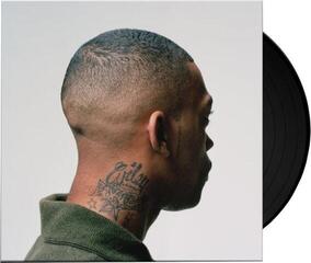 Грамофонна плоча Wiley - 100 % Publishing (Limited Edition) (2 LP) - 1