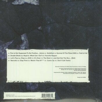Δίσκος LP Mobb Deep - Free Agents (Clear Smokey Coloured) (2 LP) - 2
