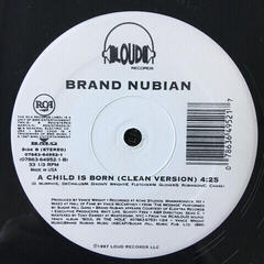 Disque vinyle Brand Nubian - A Child is Born (12" Vinyl) - 2