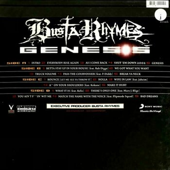 Vinylskiva Busta Rhymes - Genesis (180g) (2 LP) - 2