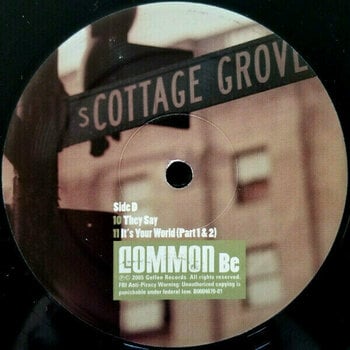 Hanglemez Common - Be (2 LP) - 5