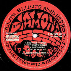 Disque vinyle Diamond D - Stunts, Blunts and Hip Hop (2 LP) - 2