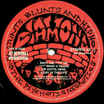 Vinyl Record Diamond D - Stunts, Blunts and Hip Hop (2 LP) - 3